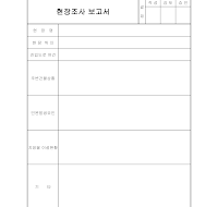 현장조사보고서 현장조사보고서